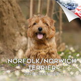 Norwich/Norfolk Terrier Wall Calendar 2025
