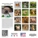 Norwich/Norfolk Terrier Wall Calendar 2025