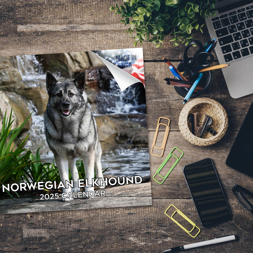 Norwegian Elkhound Wall Calendar 2025
