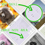 Poodle Wall Calendar 2025