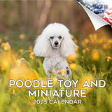 Poodle (Toy & Miniature) Wall Calendar 2025