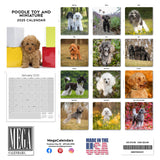 Poodle (Toy & Miniature) Wall Calendar 2025