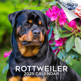 Rottweiler Wall Calendar 2025