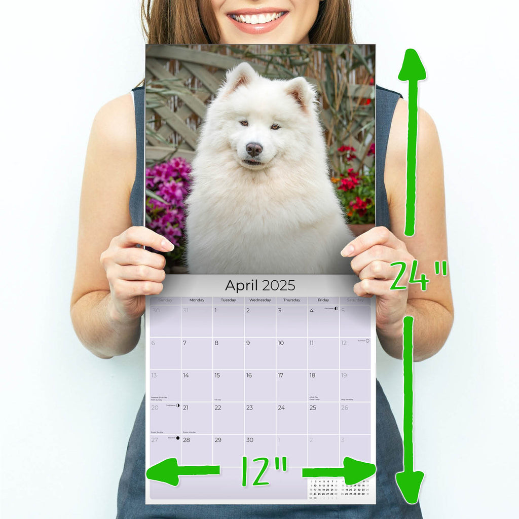 Samoyed Wall Calendar 2025