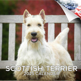 Scottish Terrier Wall Calendar 2025