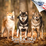 Shiba Inu Wall Calendar 2025