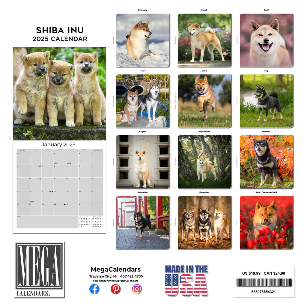 Shiba Inu Wall Calendar 2025
