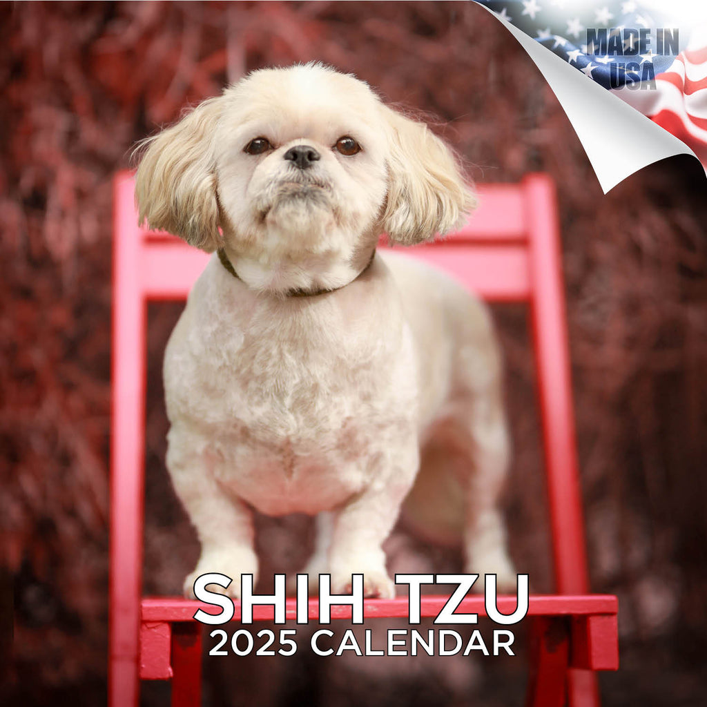 Shih Tzu Wall Calendar 2025