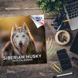 Siberian Husky Wall Calendar 2025
