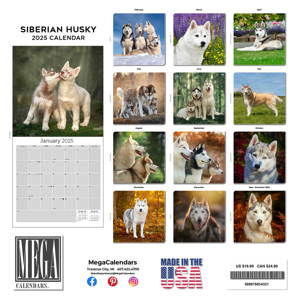 Siberian Husky Wall Calendar 2025