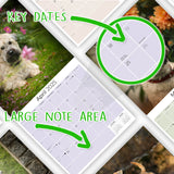 Softcoat Wheaten Terrier Wall Calendar 2025