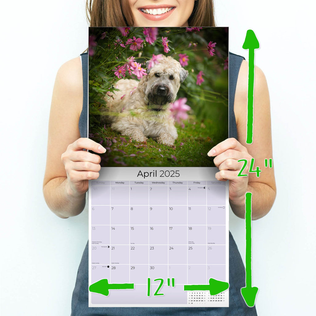 Softcoat Wheaten Terrier Wall Calendar 2025