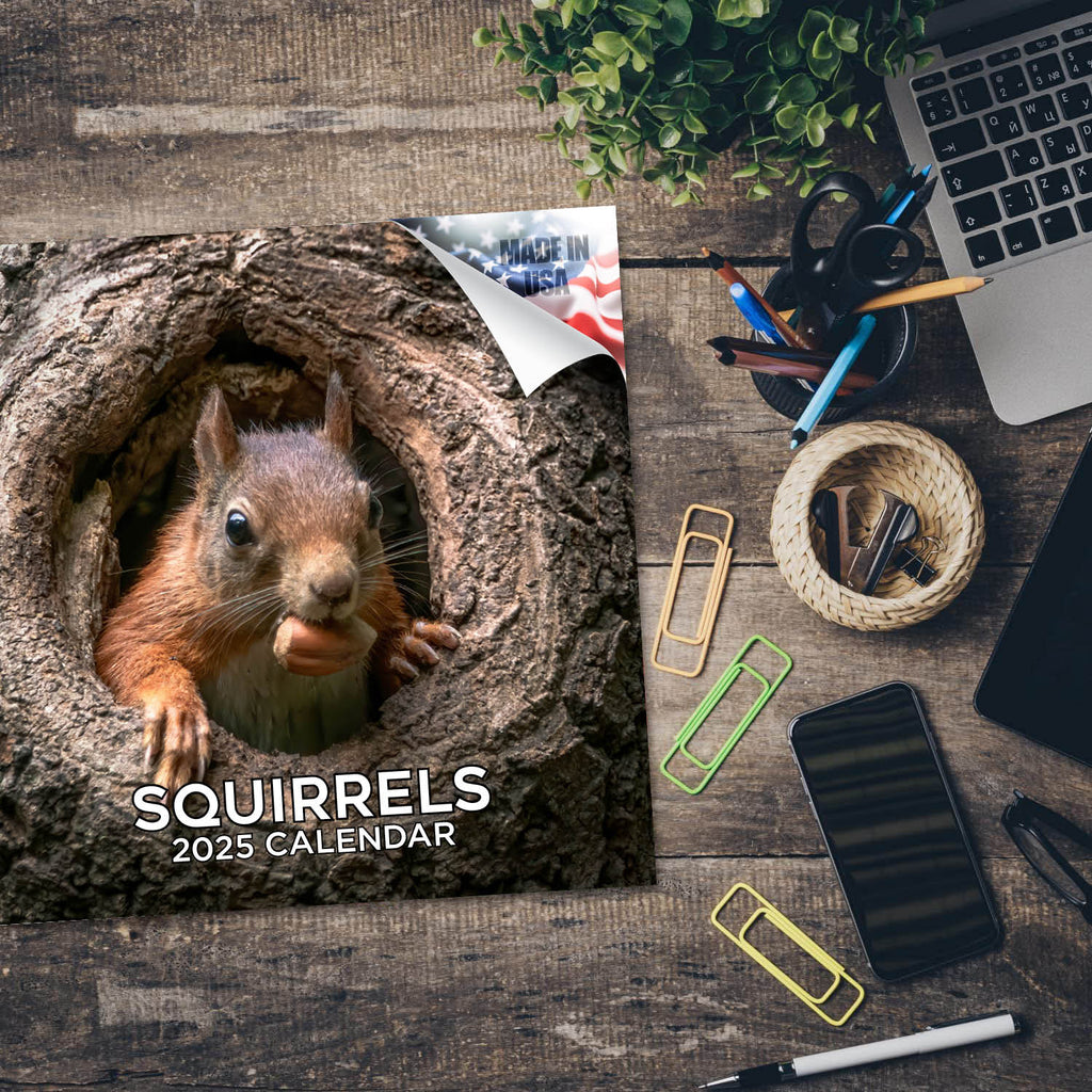 Squirrels Wall Calendar 2025
