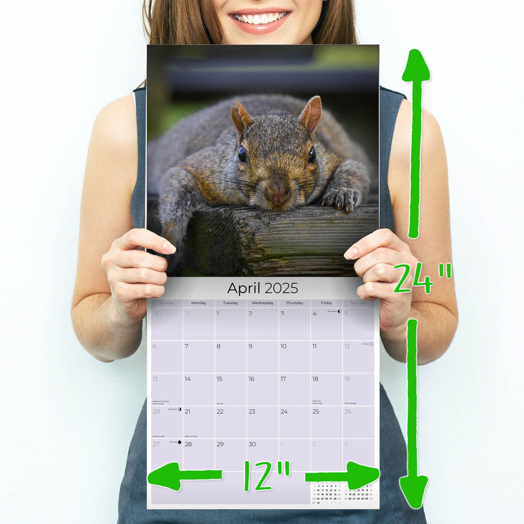 Squirrels Wall Calendar 2025