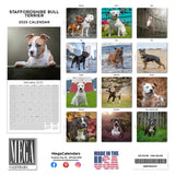 Staffordshire Bull Terrier Wall Calendar 2025