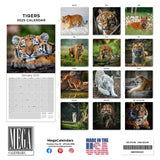 Tigers Wall Calendar 2025