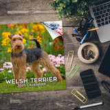 Welsh Terrier Wall Calendar 2025