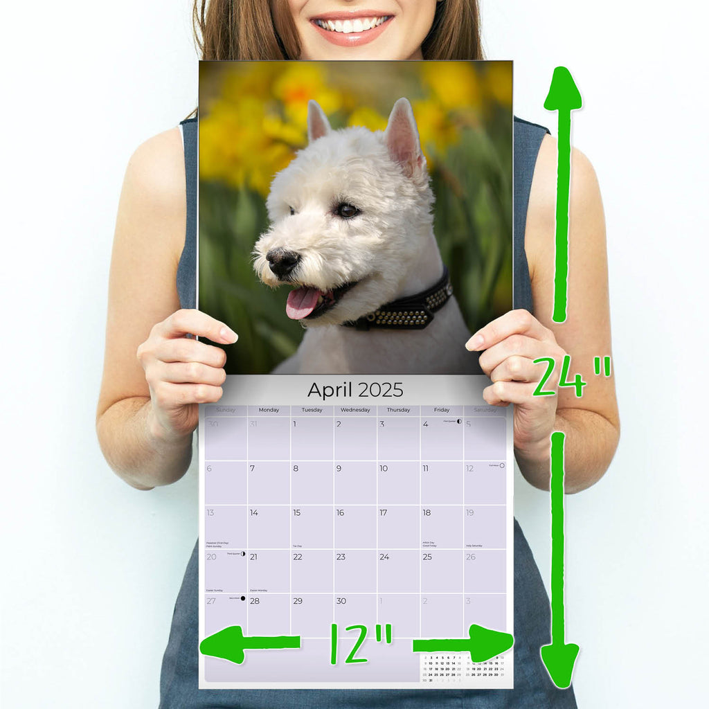 West Highland Terrier Wall Calendar 2025