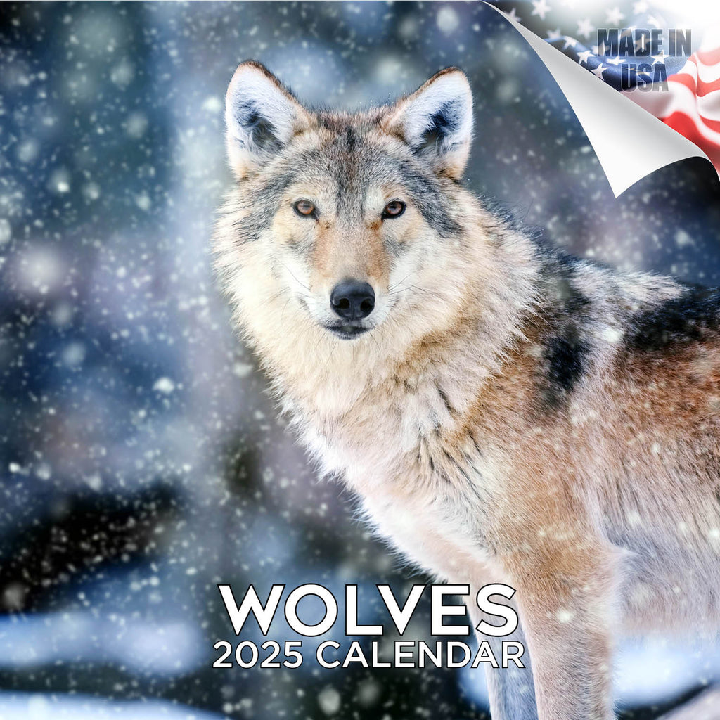 Wolves Wall Calendar 2025
