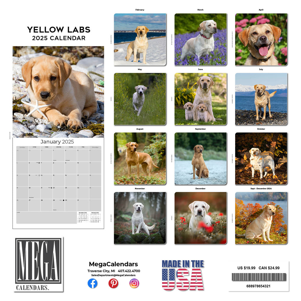 Labrador Ret (Yellow) Wall Calendar 2025