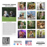 Yorkshire Terrier Wall Calendar 2025