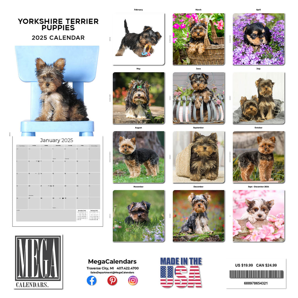 Yorkshire Terrier Puppies Calendar 2025