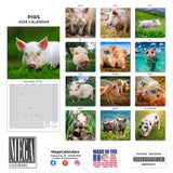 Pigs Wall Calendar 2025