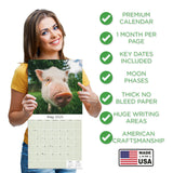 Pigs Wall Calendar 2025