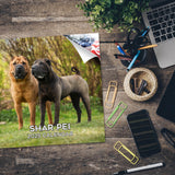 Shar Pei Wall Calendar 2025