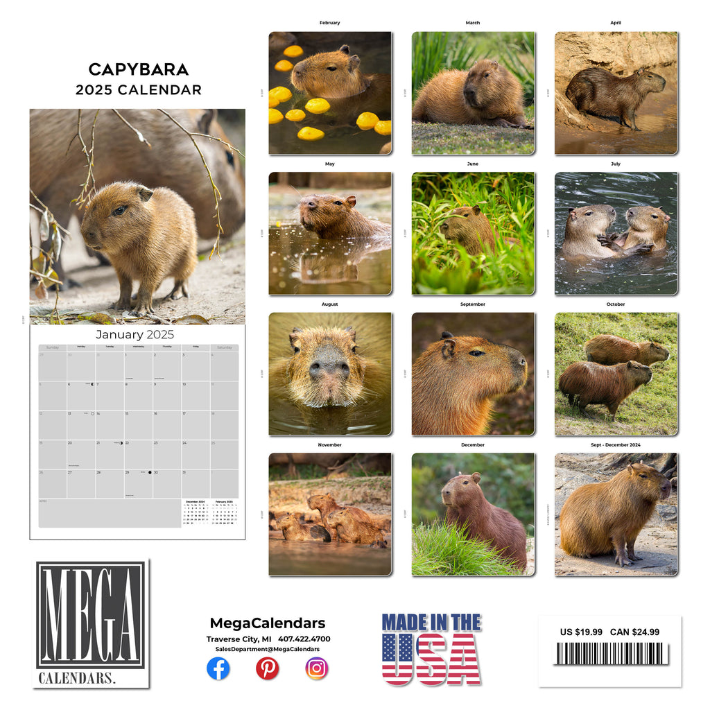 Capybara Calendar 2025