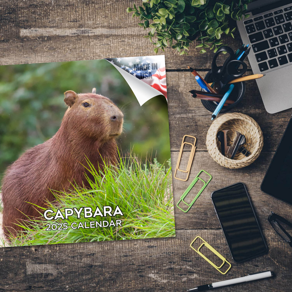 Capybara Calendar 2025