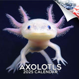 Axolotls Calendar 2025