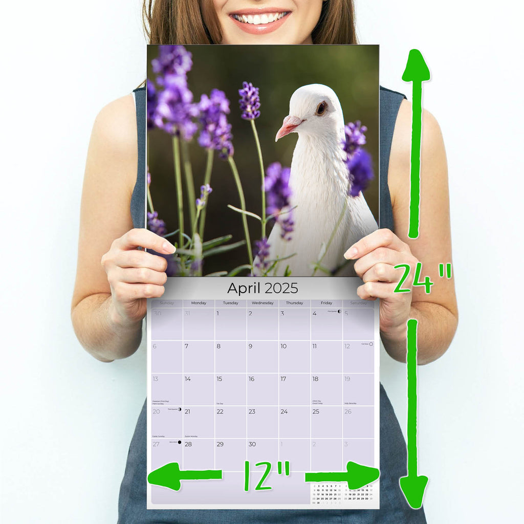 Pigeons Wall Calendar 2025