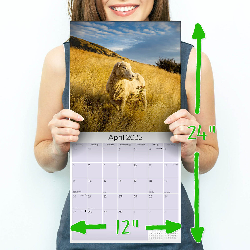 Sheep Wall Calendar 2025