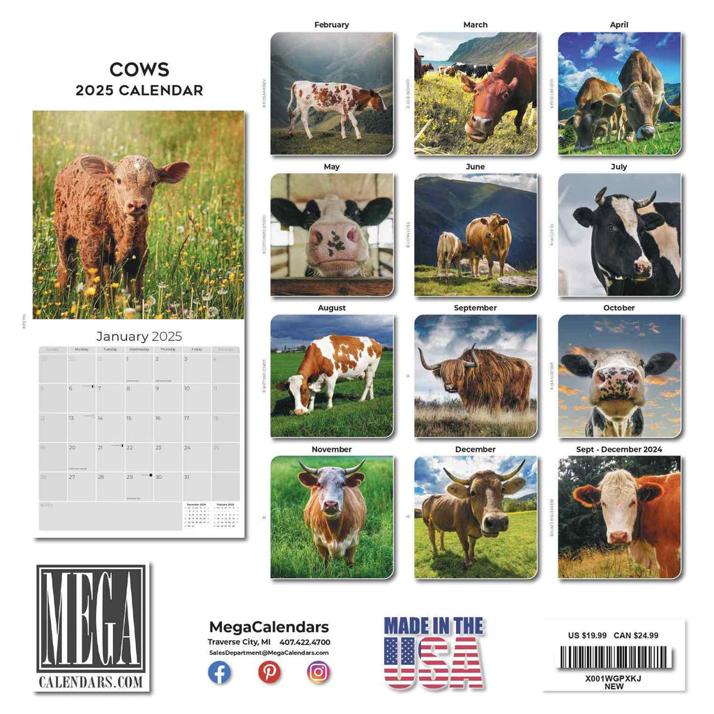 Cows Wall Calendar 2025