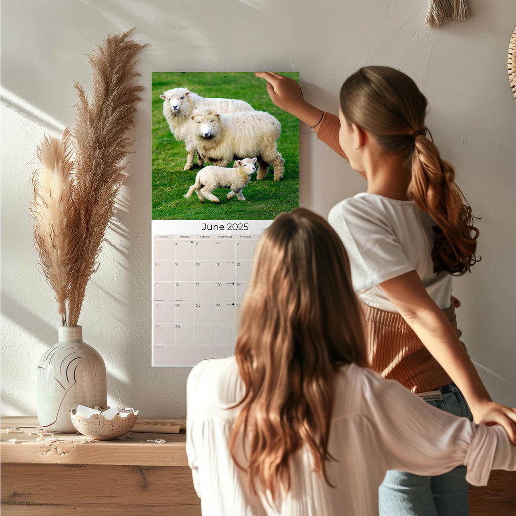 Sheep Wall Calendar 2025