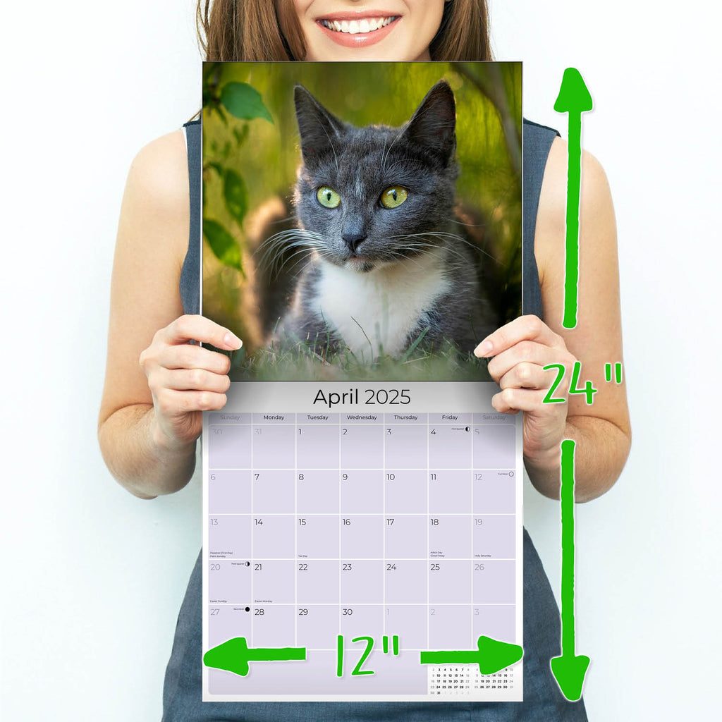 Cats Wall Calendar 2025