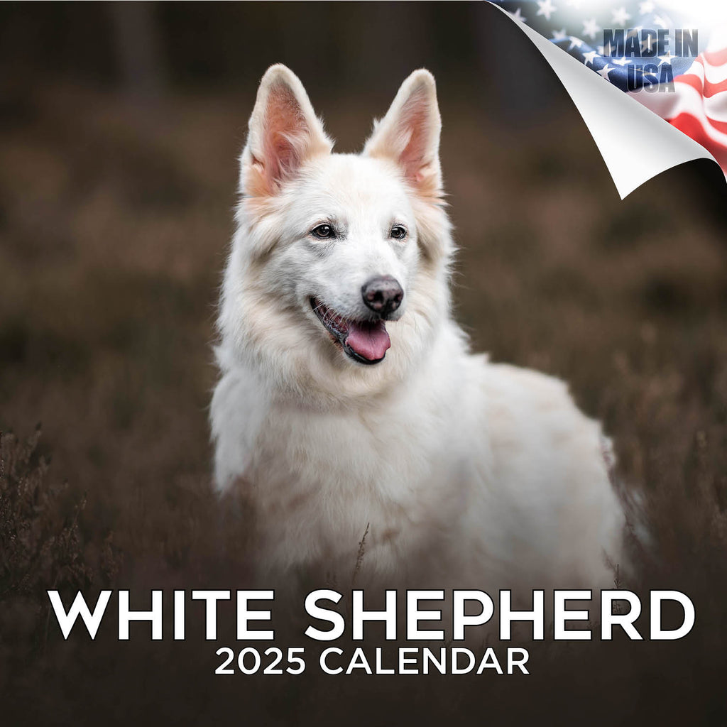 White Shepherd Wall Calendar 2025