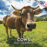 Cows Wall Calendar 2025