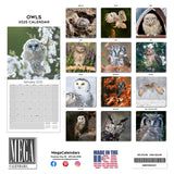 Owls Wall Calendar 2025