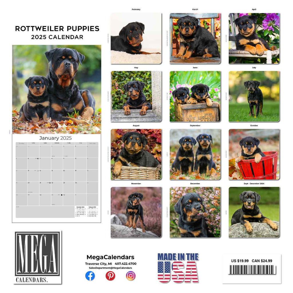 Rottweiler Puppies Wall Calendar 2025