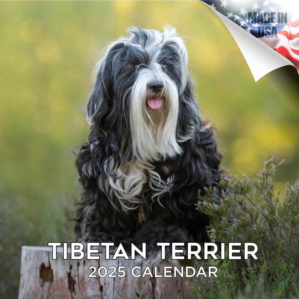 Tibetan Terrier Wall Calendar 2025