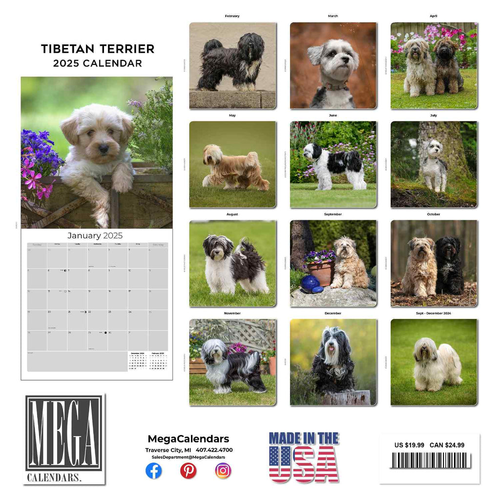 Tibetan Terrier Wall Calendar 2025