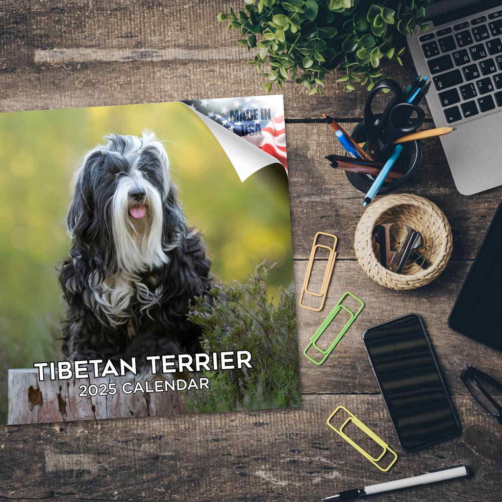 Tibetan Terrier Wall Calendar 2025