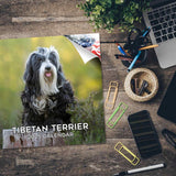 Tibetan Terrier Wall Calendar 2025