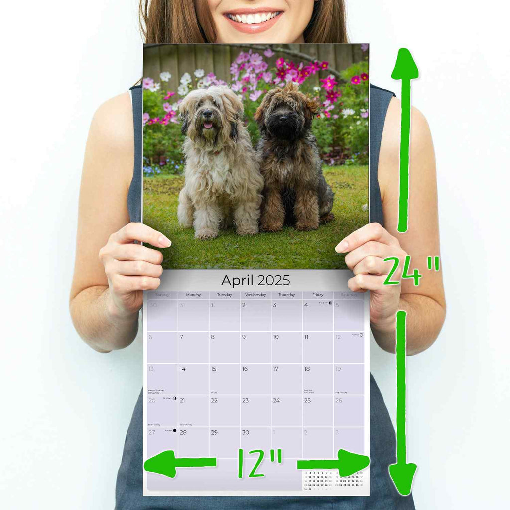 Tibetan Terrier Wall Calendar 2025